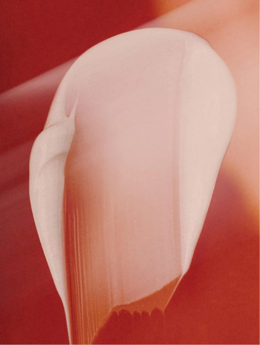 renewal moisture cream