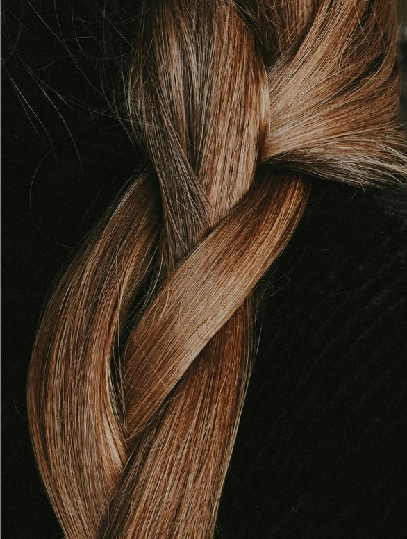 rosemary hair + scalp strengthening oil