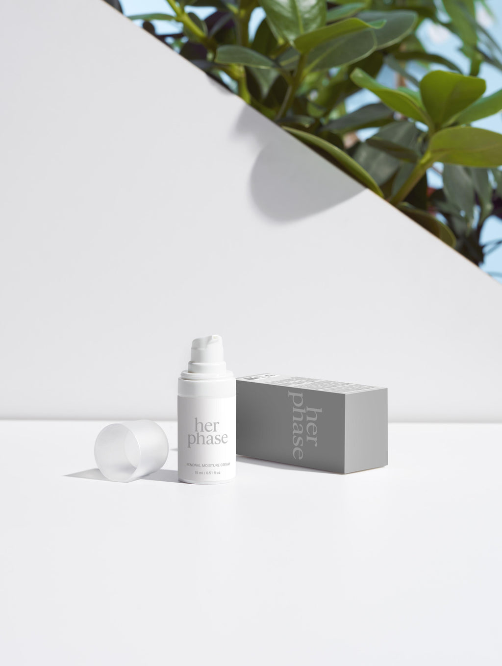 renewal moisture cream